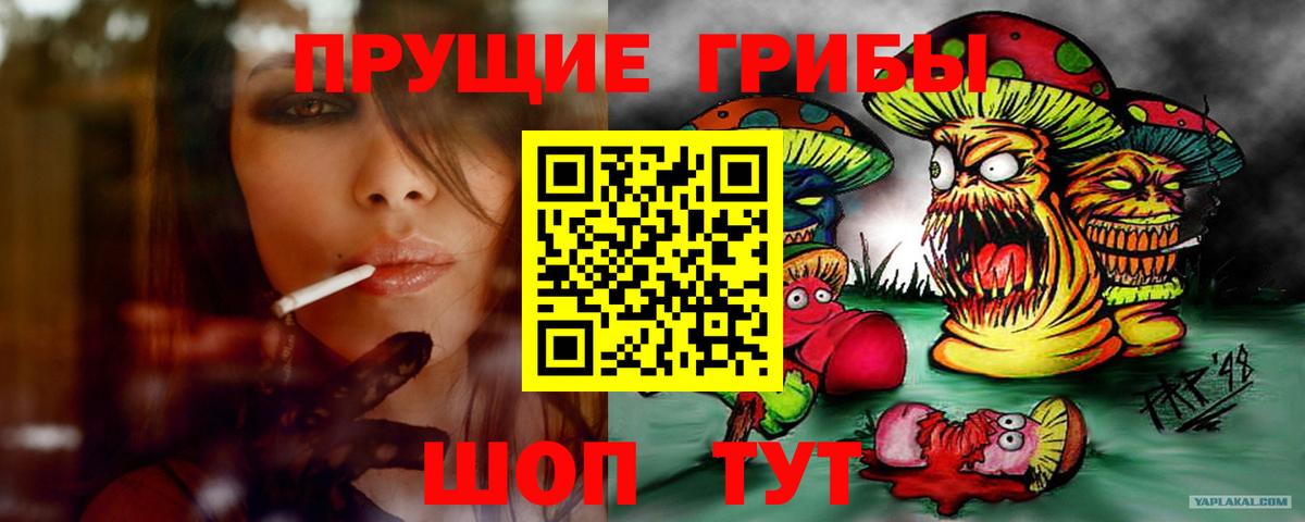 Галлюциногенные грибы прущие грибы  Вход с VPN  Псилоцибиновые грибы мицелий  Пушкино 