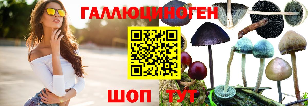 Псилоцибиновые грибы Cubensis Пушкино
